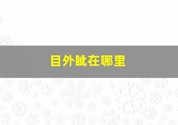 目外眦在哪里