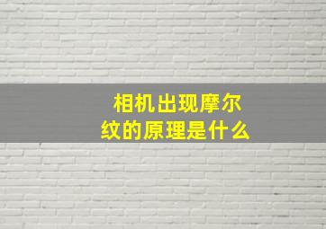 相机出现摩尔纹的原理是什么