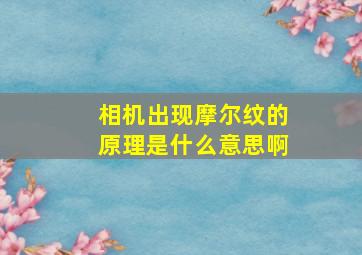 相机出现摩尔纹的原理是什么意思啊