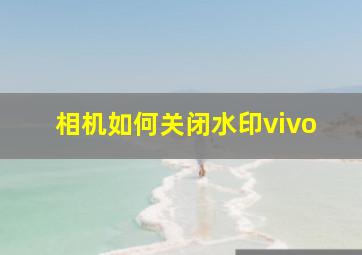 相机如何关闭水印vivo