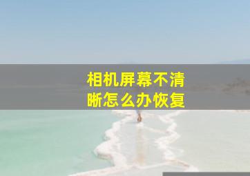 相机屏幕不清晰怎么办恢复