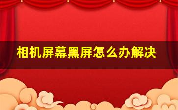 相机屏幕黑屏怎么办解决