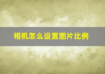 相机怎么设置图片比例