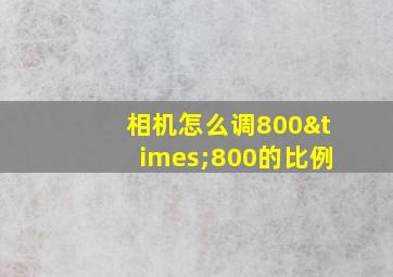 相机怎么调800×800的比例