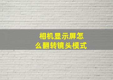 相机显示屏怎么翻转镜头模式