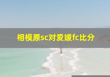 相模原sc对爱媛fc比分