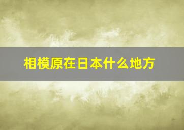 相模原在日本什么地方