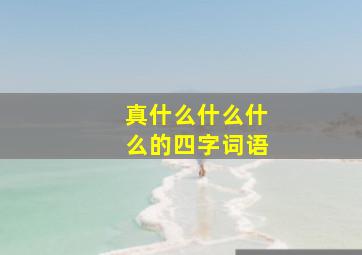 真什么什么什么的四字词语