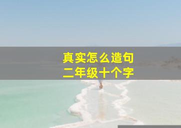 真实怎么造句二年级十个字