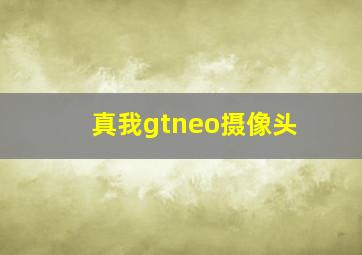 真我gtneo摄像头