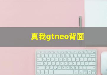 真我gtneo背面