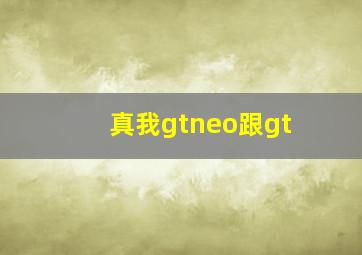 真我gtneo跟gt