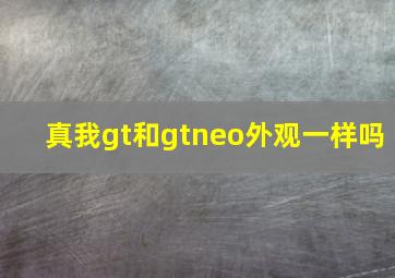 真我gt和gtneo外观一样吗