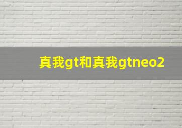 真我gt和真我gtneo2