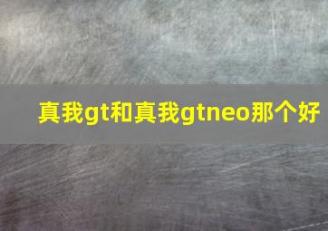 真我gt和真我gtneo那个好