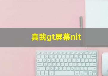 真我gt屏幕nit