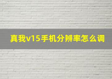 真我v15手机分辨率怎么调