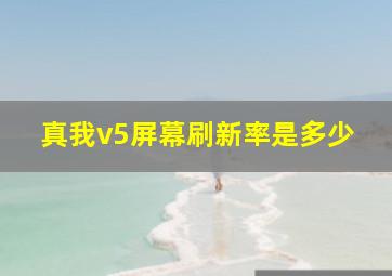 真我v5屏幕刷新率是多少