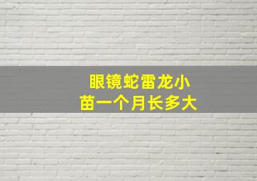 眼镜蛇雷龙小苗一个月长多大