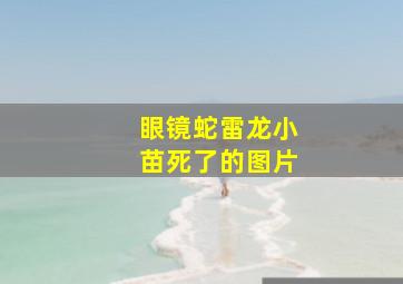 眼镜蛇雷龙小苗死了的图片