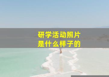 研学活动照片是什么样子的