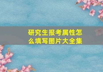 研究生报考属性怎么填写图片大全集