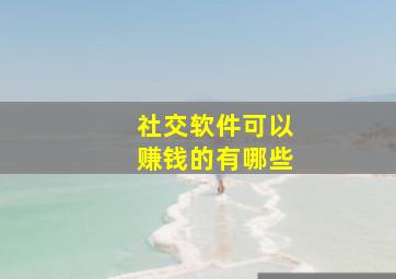 社交软件可以赚钱的有哪些