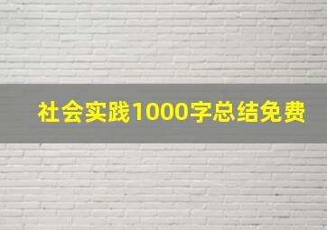 社会实践1000字总结免费