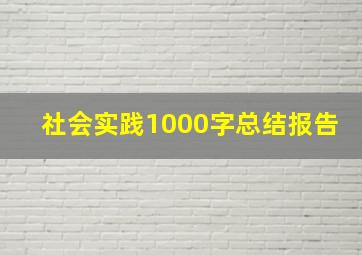 社会实践1000字总结报告