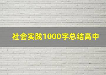 社会实践1000字总结高中