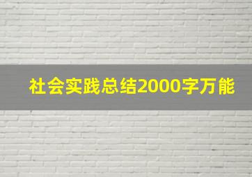 社会实践总结2000字万能