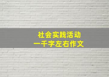 社会实践活动一千字左右作文