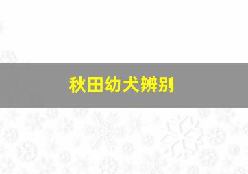 秋田幼犬辨别