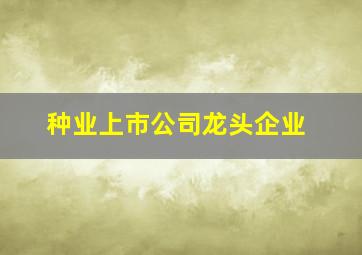 种业上市公司龙头企业