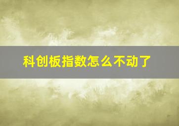 科创板指数怎么不动了