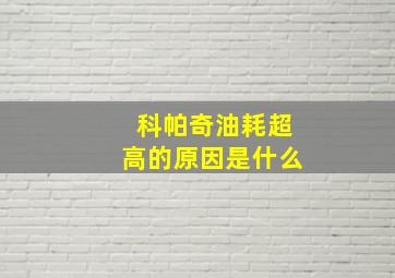 科帕奇油耗超高的原因是什么