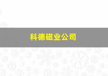 科德磁业公司