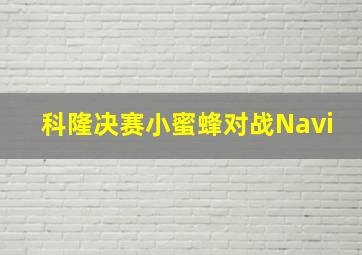 科隆决赛小蜜蜂对战Navi