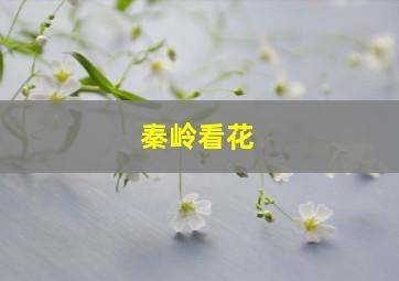 秦岭看花