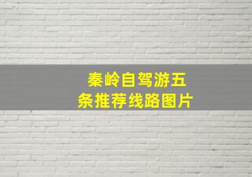 秦岭自驾游五条推荐线路图片