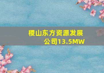 稷山东方资源发展公司13.5MW