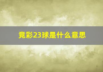 竞彩23球是什么意思