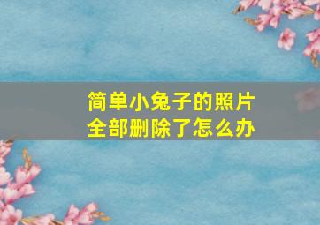 简单小兔子的照片全部删除了怎么办