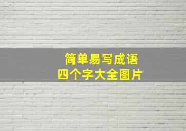 简单易写成语四个字大全图片