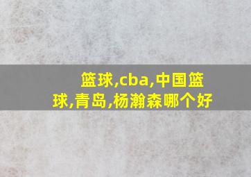 篮球,cba,中国篮球,青岛,杨瀚森哪个好