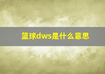 篮球dws是什么意思