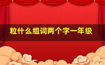 粒什么组词两个字一年级