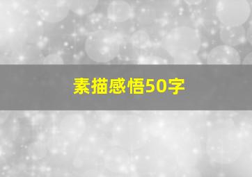 素描感悟50字