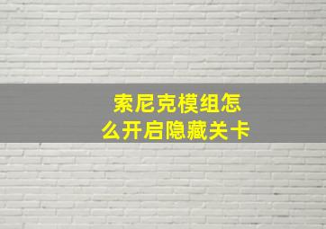 索尼克模组怎么开启隐藏关卡