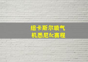 纽卡斯尔喷气机悉尼fc赛程